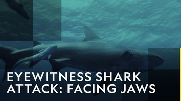 Eyewitness Shark Attack: Facing..