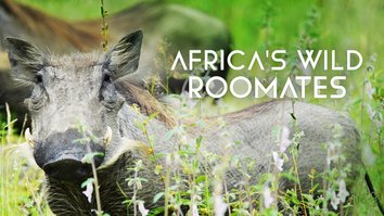 Africa's Wild Roommates: How...