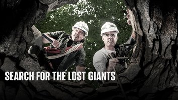 Search For The Lost Giants