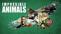 Impossible Animals