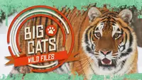 Big Cats: Wild Files