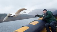 David Attenborough's Conquest Of The Skies