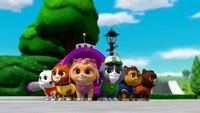 Music and Fitness with the PAW Patrol
