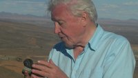 David Attenborough's First Life