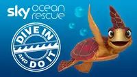 Ocean Rescue: Dive In And Do It!