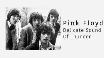 Pink Floyd: Delicate Sound...