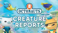 Octonauts Creature Reports