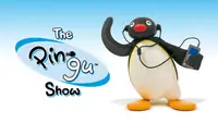 The Pingu Show