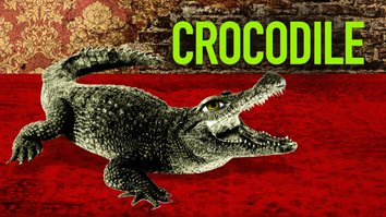 Crocodile: A Digital Opera