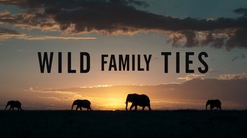 Wild Family Ties