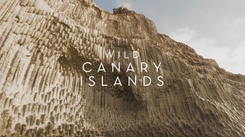 Wild Canary Islands