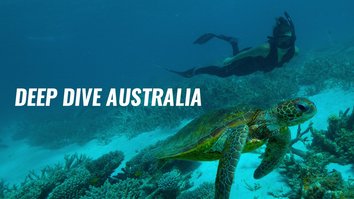 Deep Dive Australia