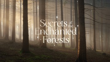 Secrets Of The Enchanted Forests