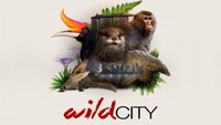 David Attenborough's Wild City