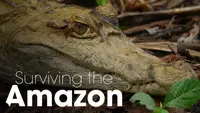 Surviving The Amazon