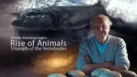 Rise Of Animals With David Attenborough