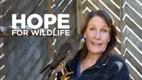 Hope For Wildlife