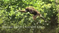 Borneo: Earth's Ancient Eden