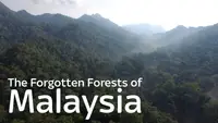 The Forgotten Forests Of Malaysia