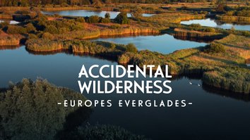Accidental Wilderness: Europe's Everglades