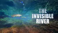 The Invisible River- Under Water Between the Black Forest and the Vosges
