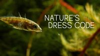 Nature's Dress Code: Who Wears...