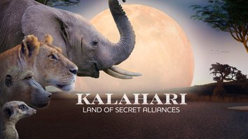 Kalahari: Land Of Secret Alliances