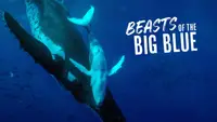 Beasts Of The Big Blue
