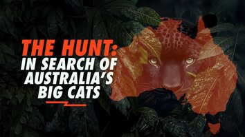The Hunt: In Search Of Australia's Big Cats
