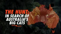 The Hunt: In Search Of Australia's Big cats