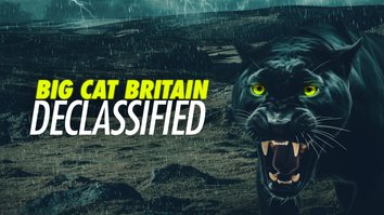 Big Cat Britain Declassified