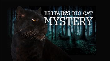 Britain's Big Cat Mystery