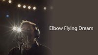 Elbow: Flying Dream 1