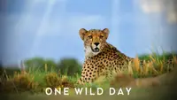 Extreme Animals: One Wild Day