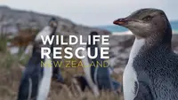 Wildlife Rescue New Zealand