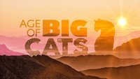 Age Of The Big Cats