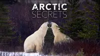 Arctic Secrets
