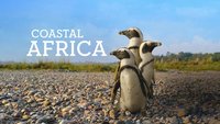 Coastal Africa
