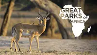 Great Parks Of Africa