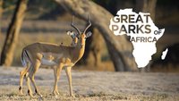 Great Parks Of Africa