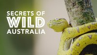 Secrets Of Wild Australia