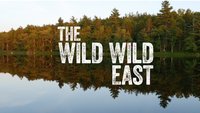 The Wild Wild East