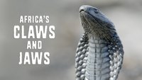 Africa's Claws And Jaws