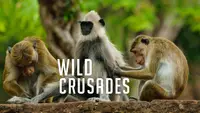Wild Crusades: The Monkey Diaries