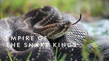 Empire Of The Snake Kings