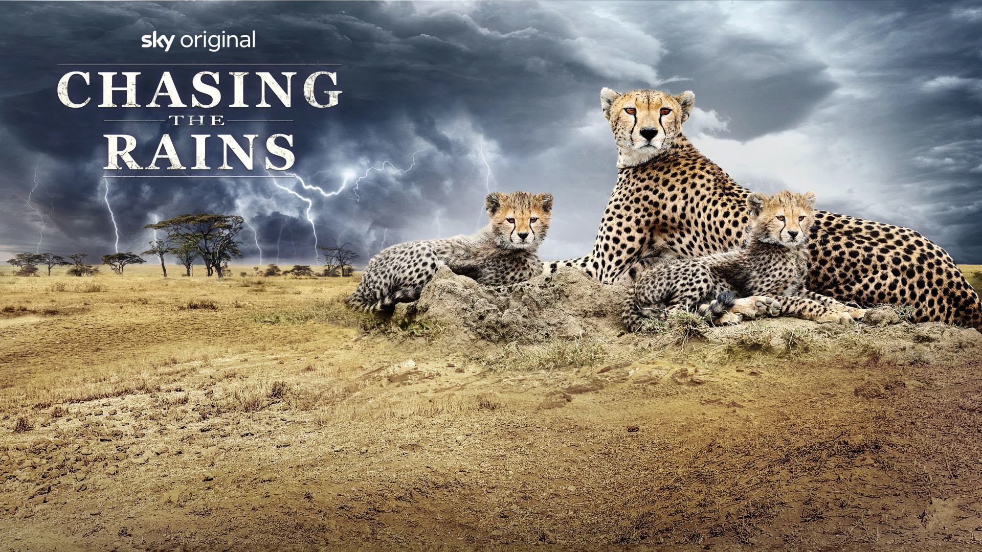 Watch Chasing The Rains Online Stream Full Episodes
