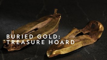 Buried Gold: Treasure Hoard
