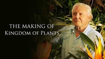 Making Of Kingdom Of Plants