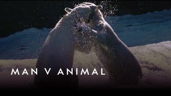 Man V Animal