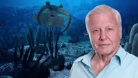 David Attenborough - L'origine della vita